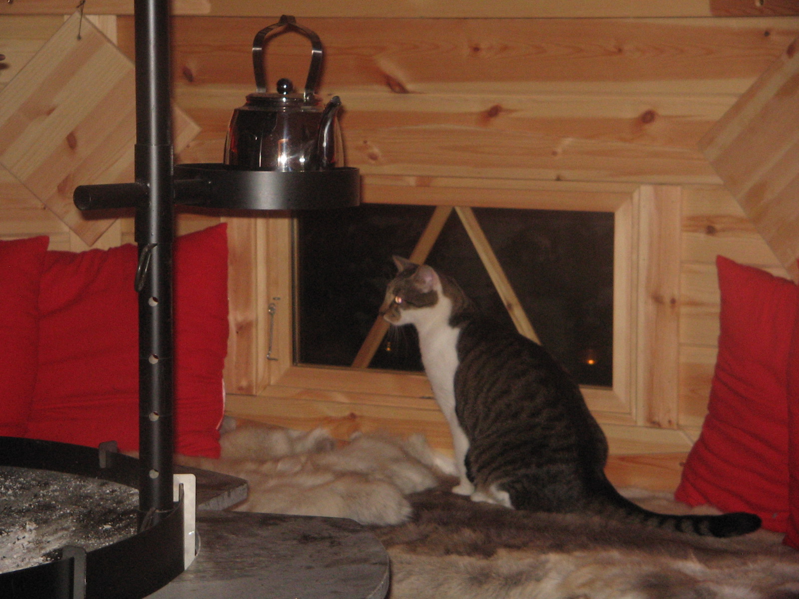 Kota / Grillkota / Saunakota / Sauna